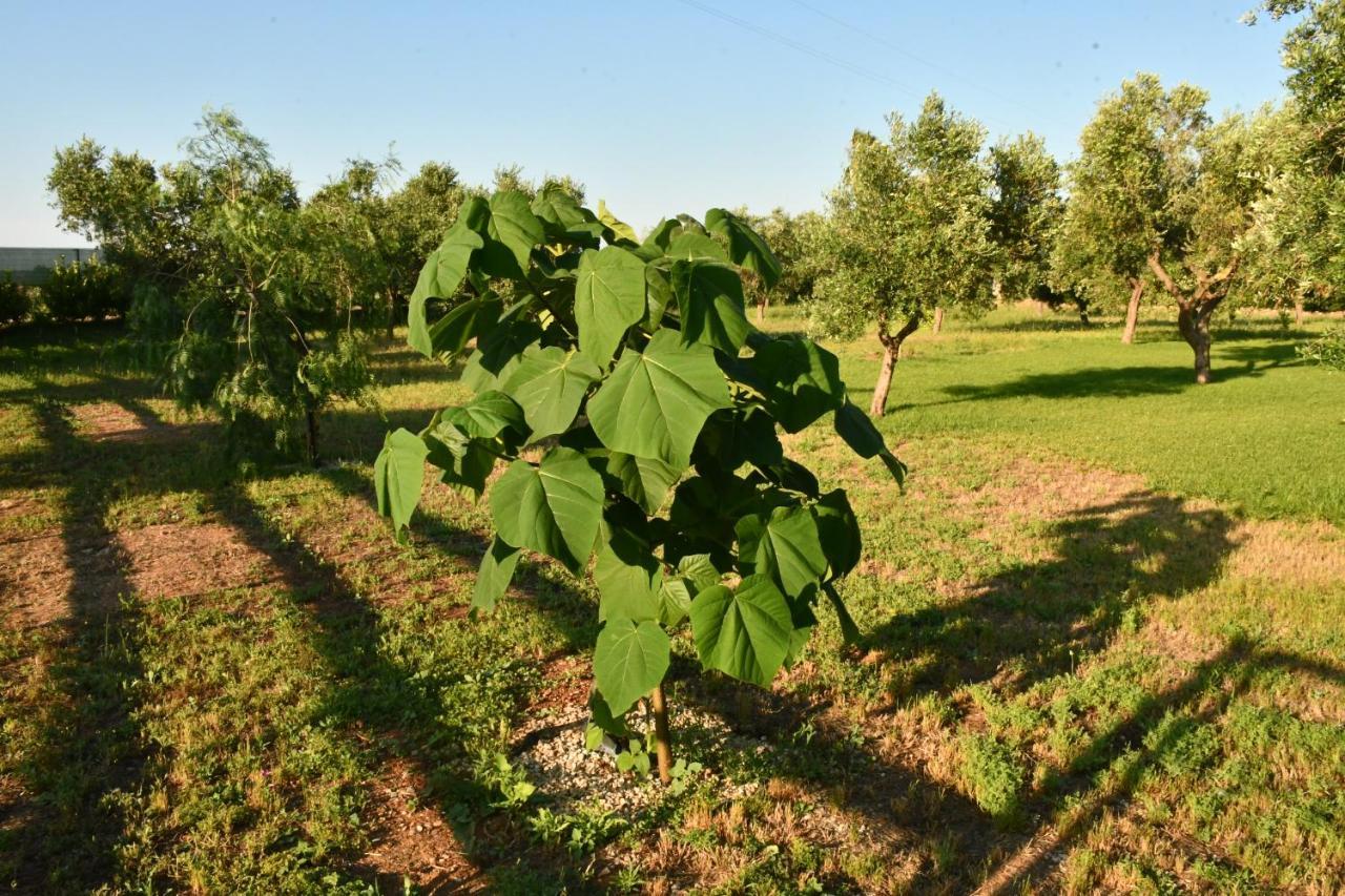 Tenuta Corano Nardò Eksteriør bilde